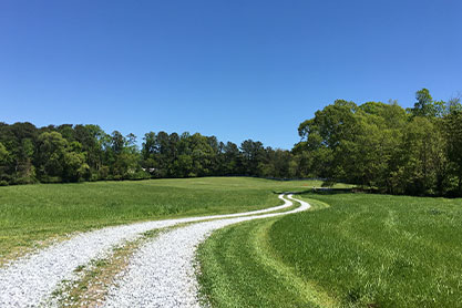 Green burials at Georgia's green cemeteries