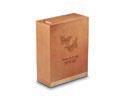 Monterey Maple